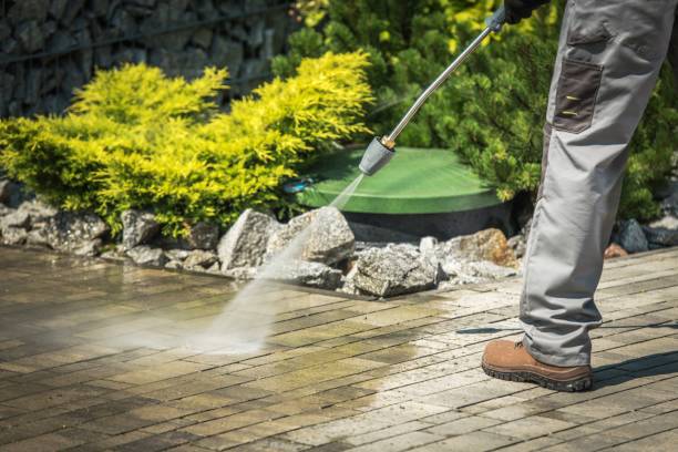 Best Warehouse Cleaning  in Milbank, SD