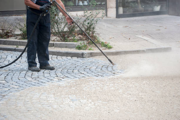Best Animal Enclosure Cleaning  in Milbank, SD