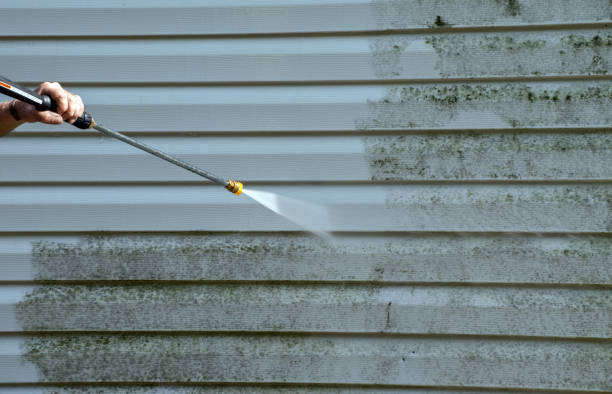 Best Roof Washing  in Milbank, SD